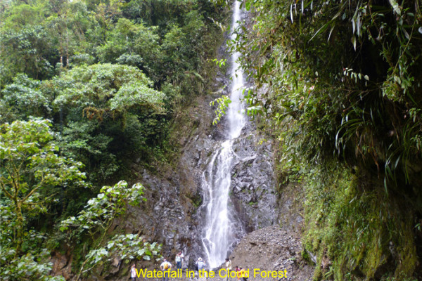 21. 9 7 days Waterfall in the Cloud Forest