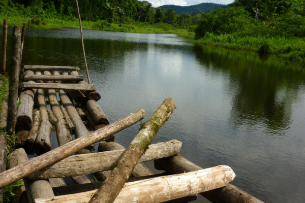43. only 9 days Using traditional balsa rafts to go round Lake Machuhuasi