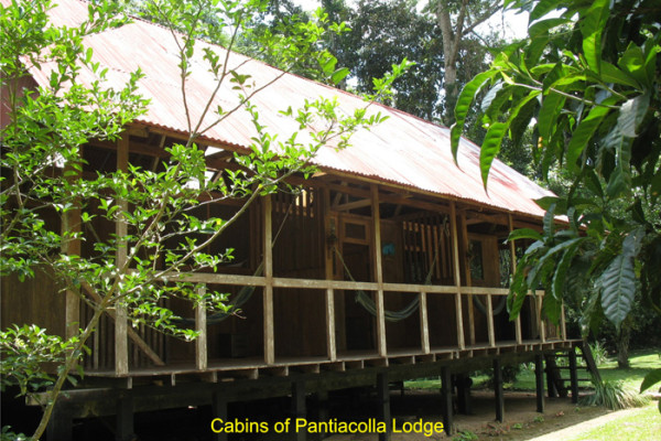 57. only 9 days Cabin of Pantiacolla Lodge