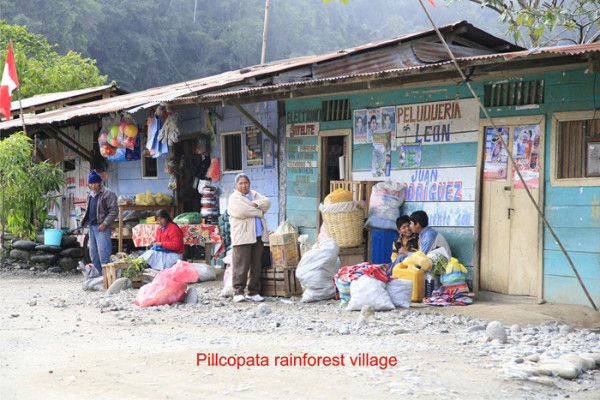 93 Pillcopata rainforest village