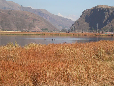 Huacarpay Lake 2 Cusco Pe