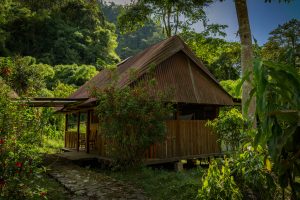 Jungle lodge Manu Peru- Posada san Pedro, Pantiacolla
